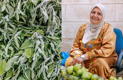 BETHLEHEM: A celebration of Palestinian food NEW Zaytoun