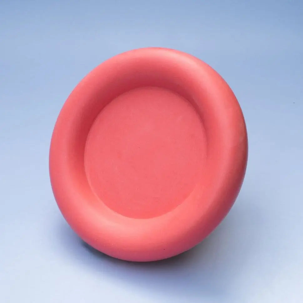 Chubby Saucer by Kole - Migration Museum Shop