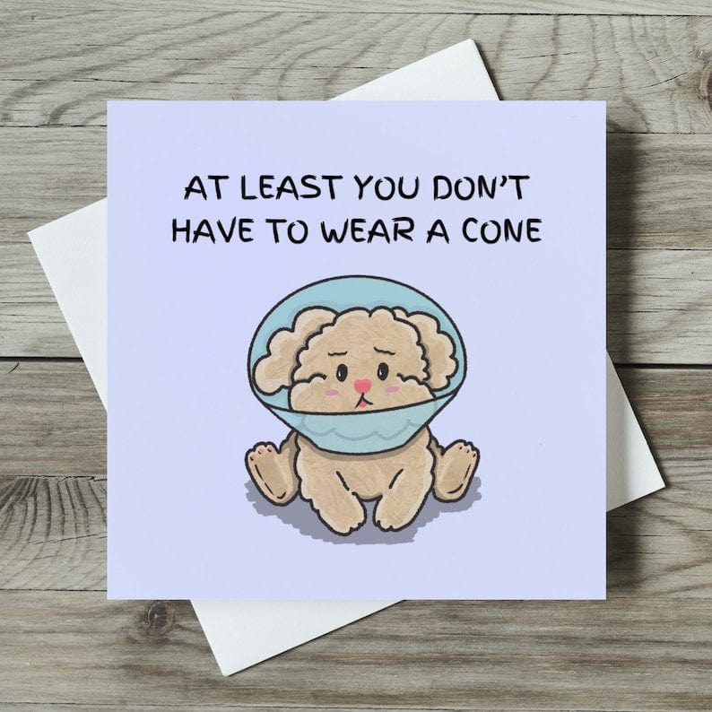 Get well soon card by Studio DBT - Migration Museum Shop