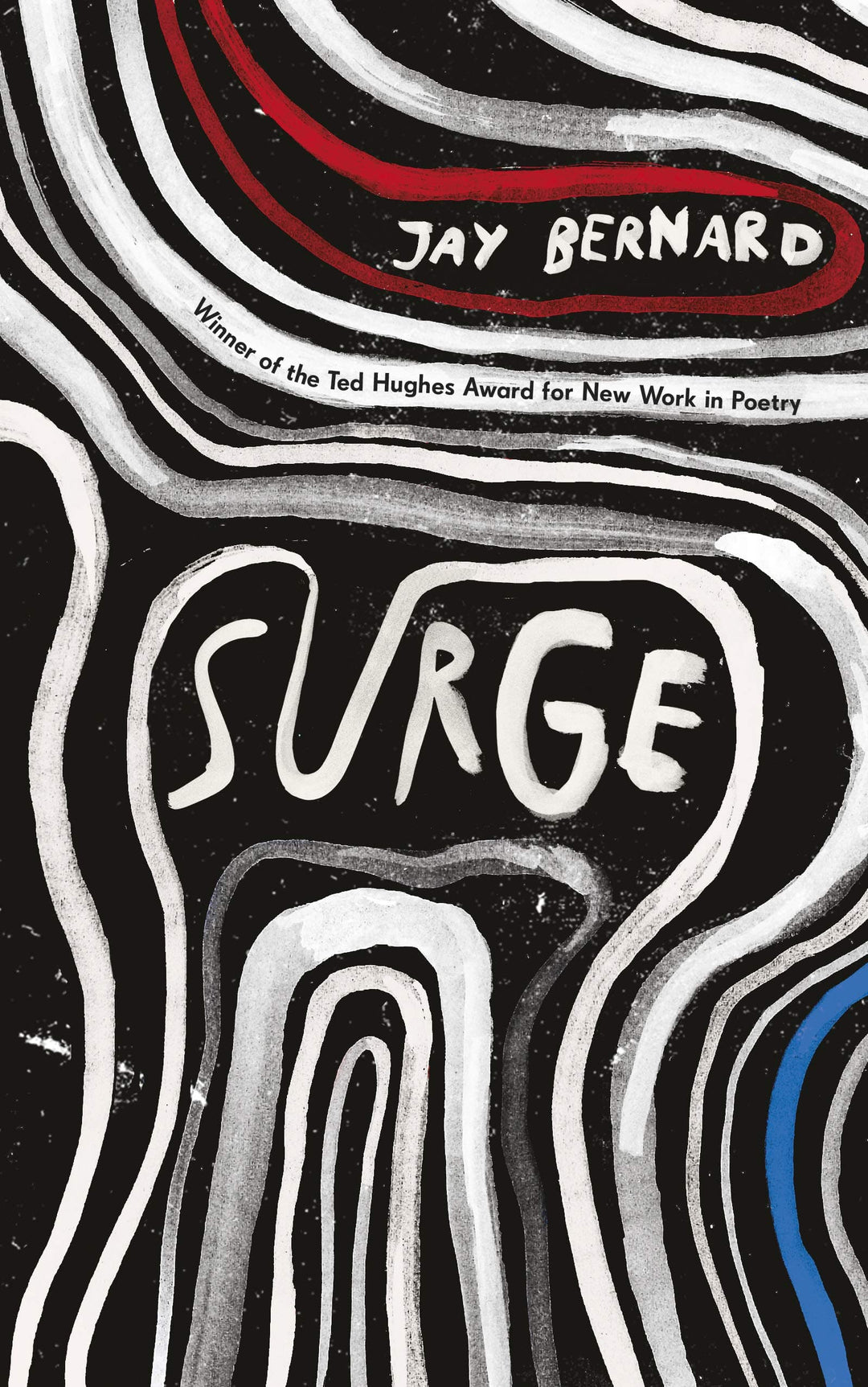 Jay Bernard: Surge Migration Museum