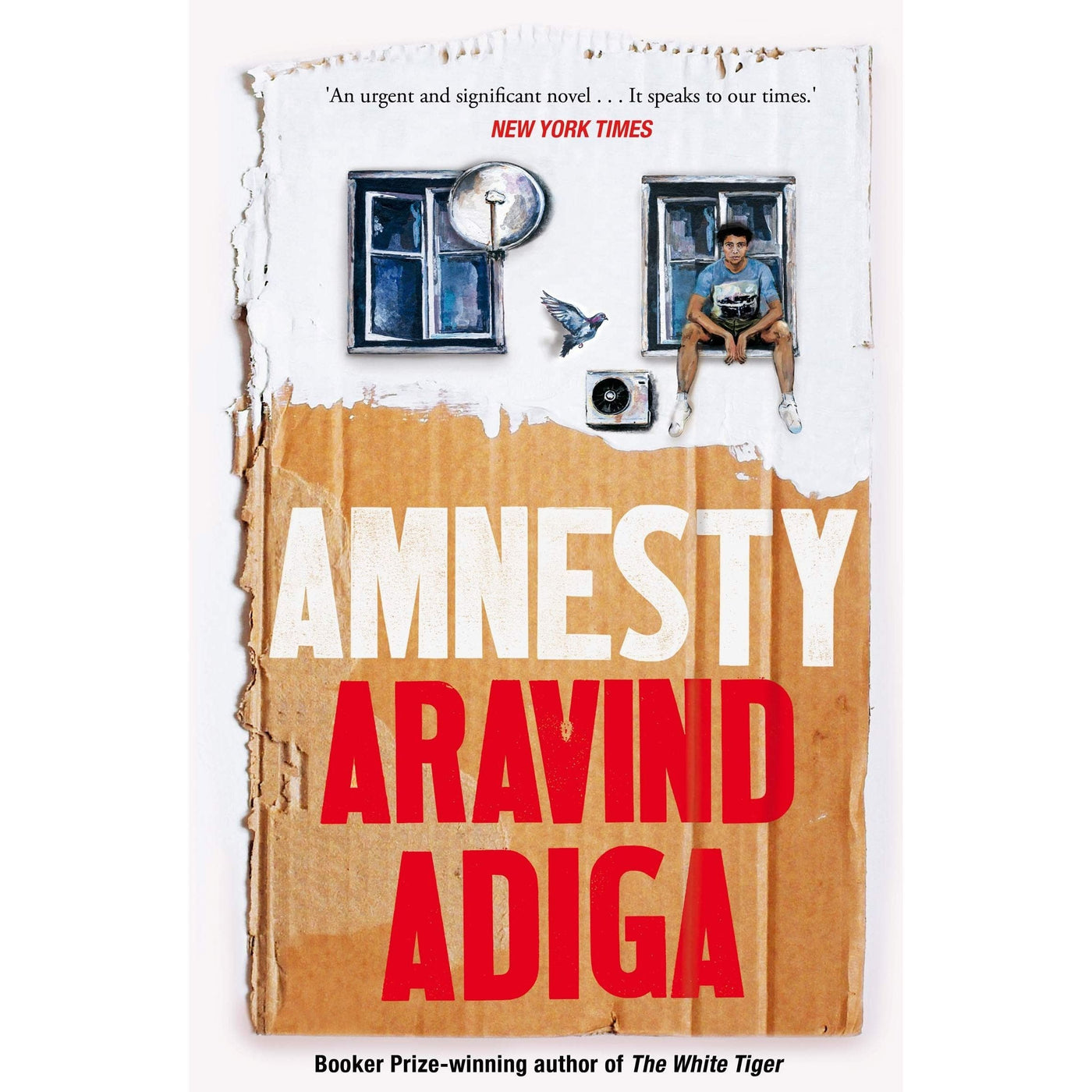 Aravind Adiga: Amnesty
